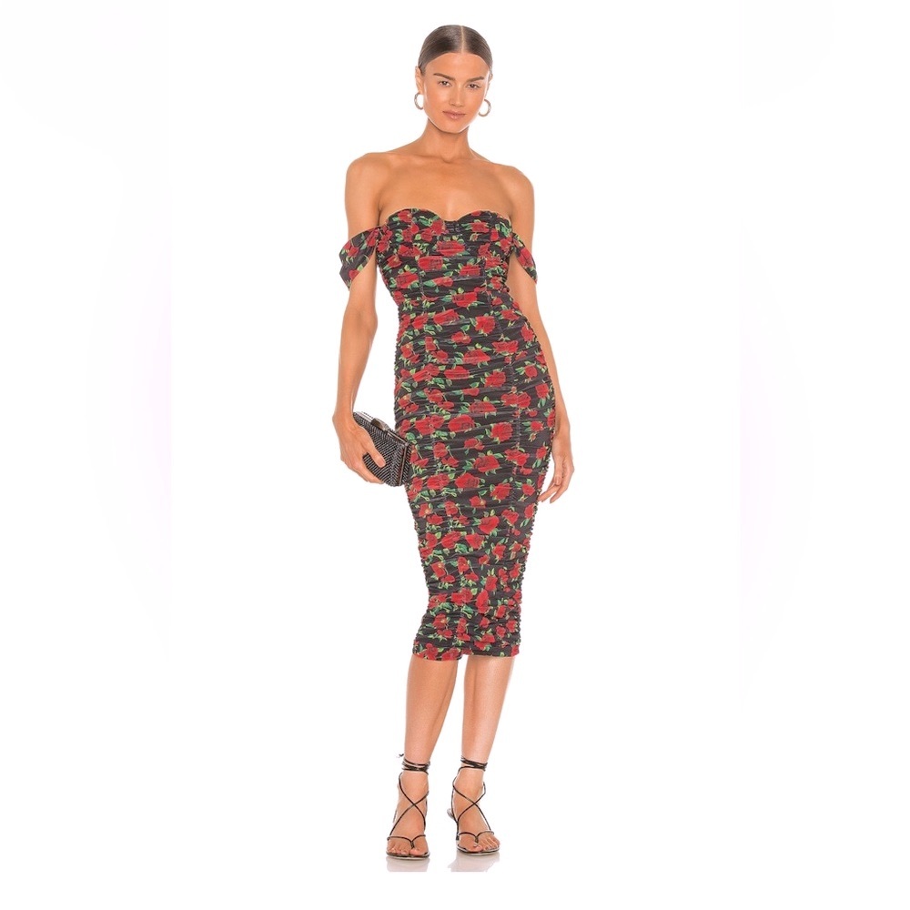 REVOLVE Romantic Floral Roses Dress - XS / worn only once